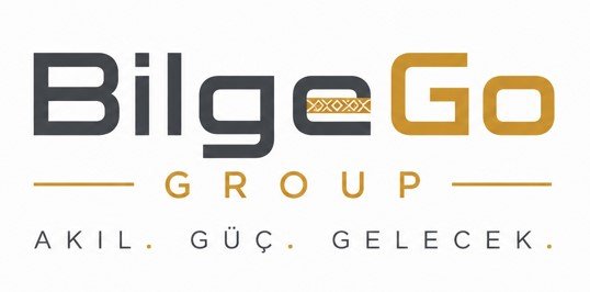 BilgeGo Logo