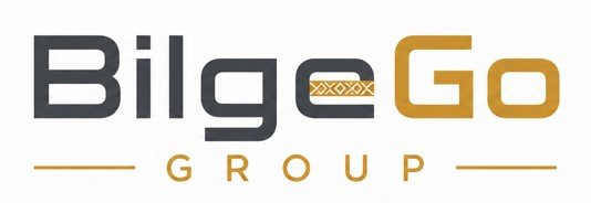 BilgeGo Group